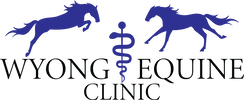Wyong Equine Clinic